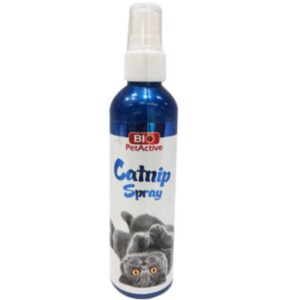 Tea Tree Şampuan Çay Ağaci Özlü Şampuan 400 Ml