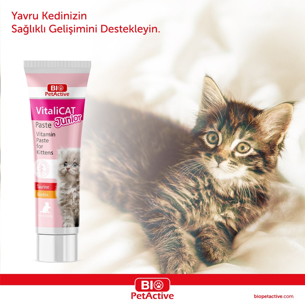 Markimya.com-03-min.jpg