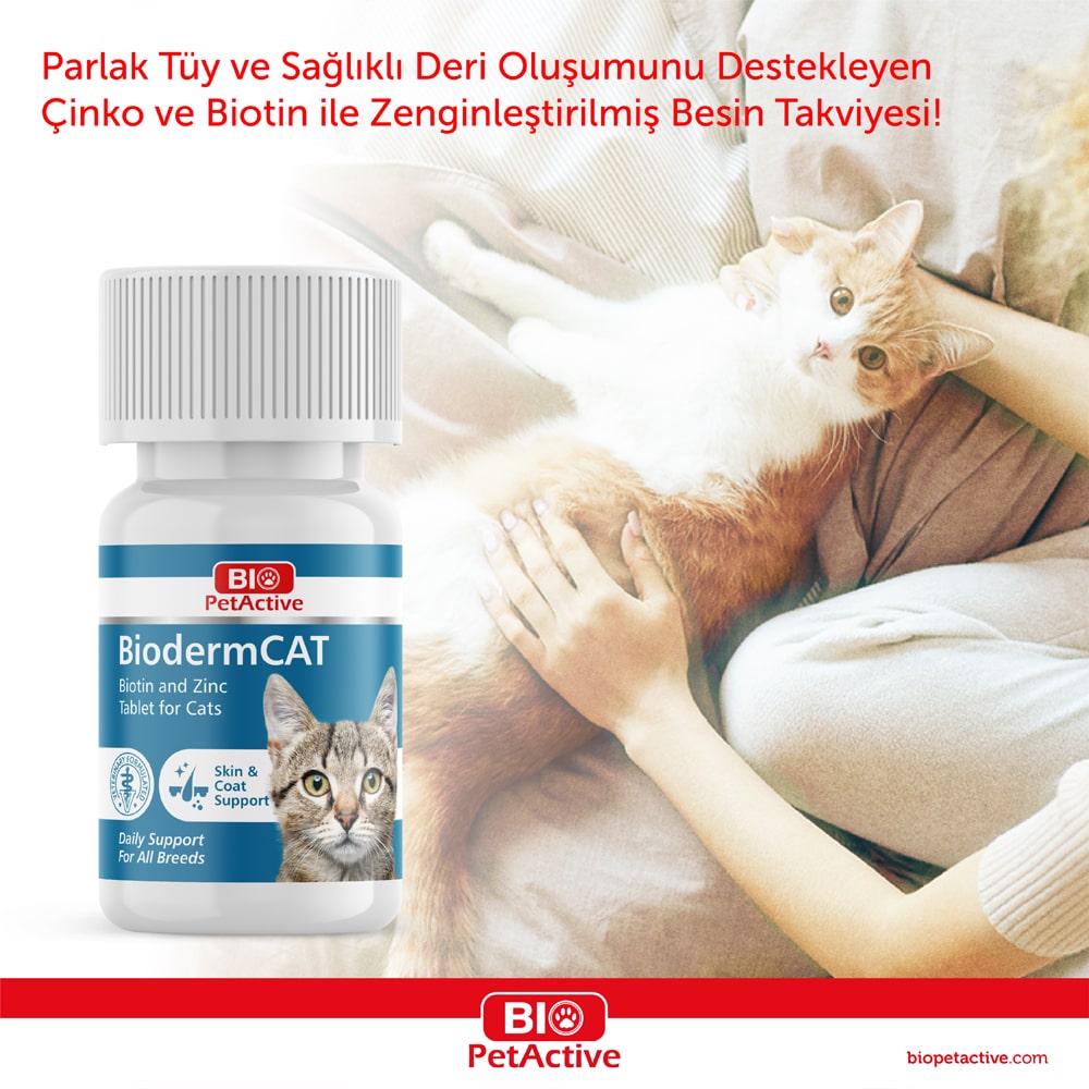 Markimya.com-15-min.jpg