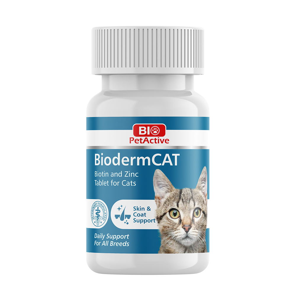 bioderm-cat.jpg