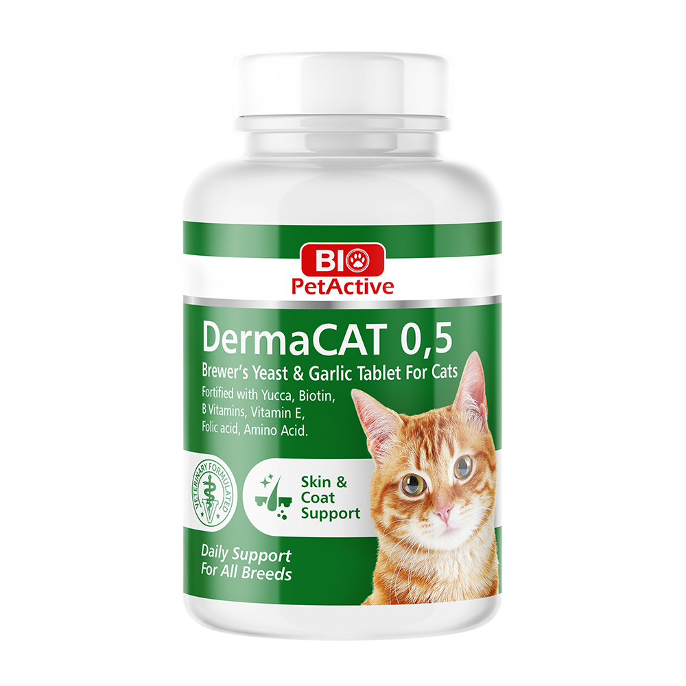 dermacat-05.jpg