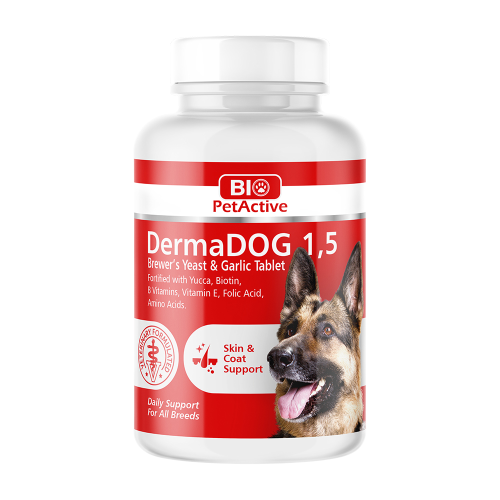 dermadog-02.jpg