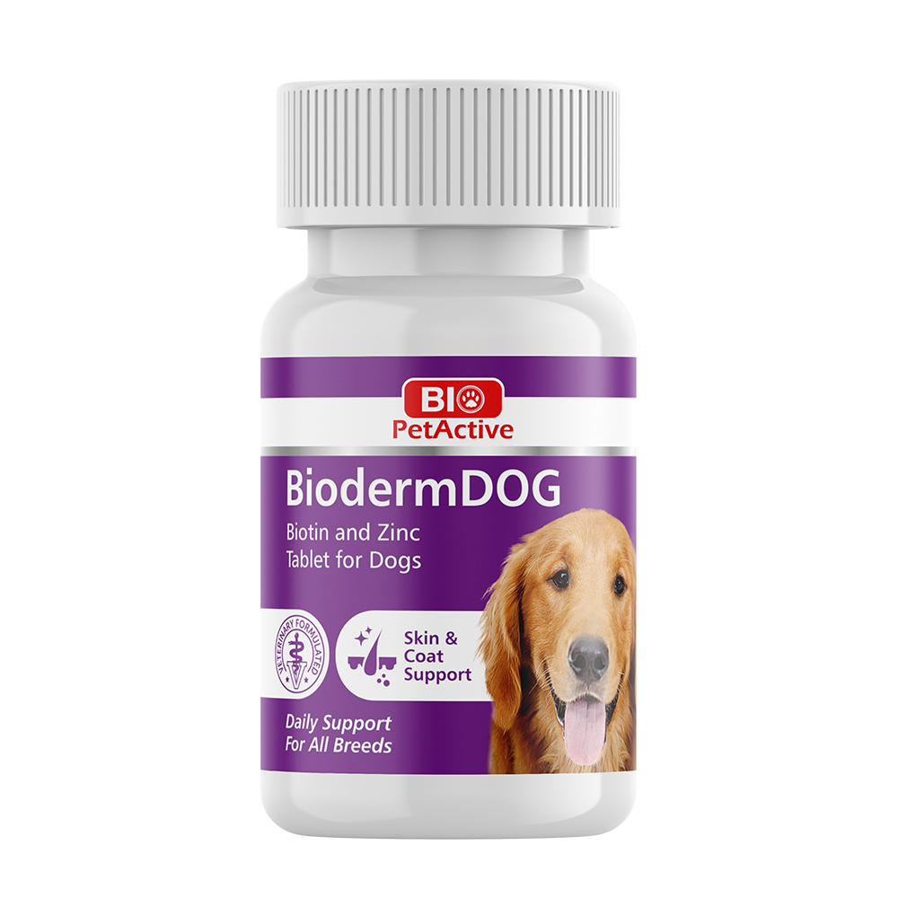 dogbio.jpg