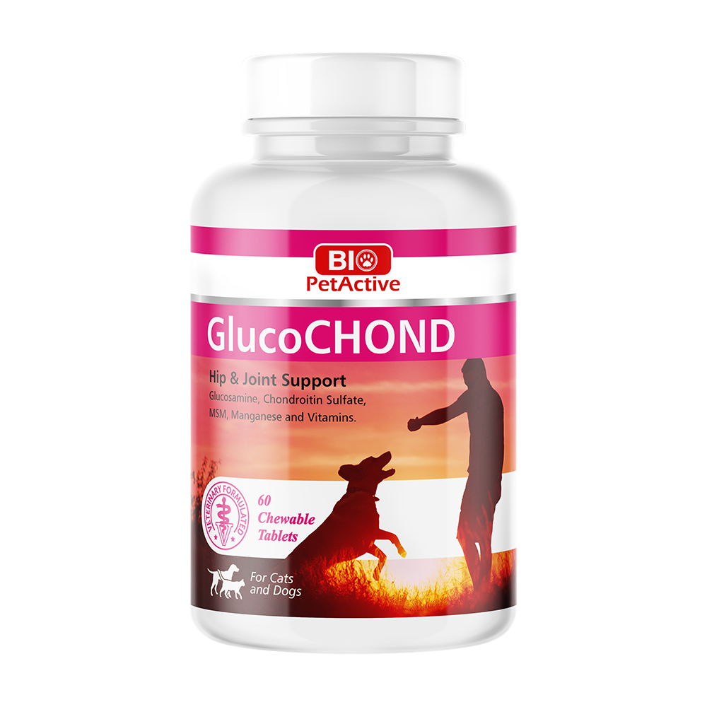 glucohund.jpg
