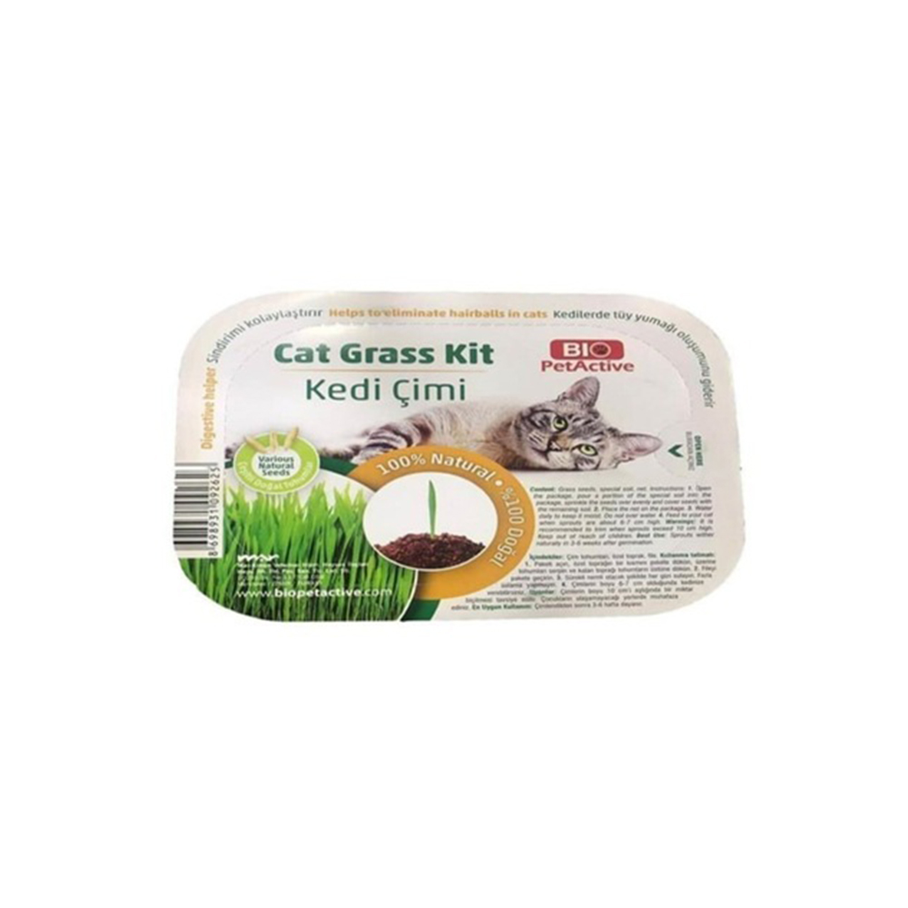 grass.jpg