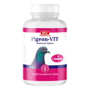 Pigeon-Vit (Güvercinler İçin L-Carnitine İçeren Vitamin)
