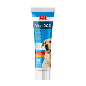 Vitalidog Paste (Yeti̇şki̇n Köpekler İçi̇n Vi̇tami̇n Paste) 100 Ml